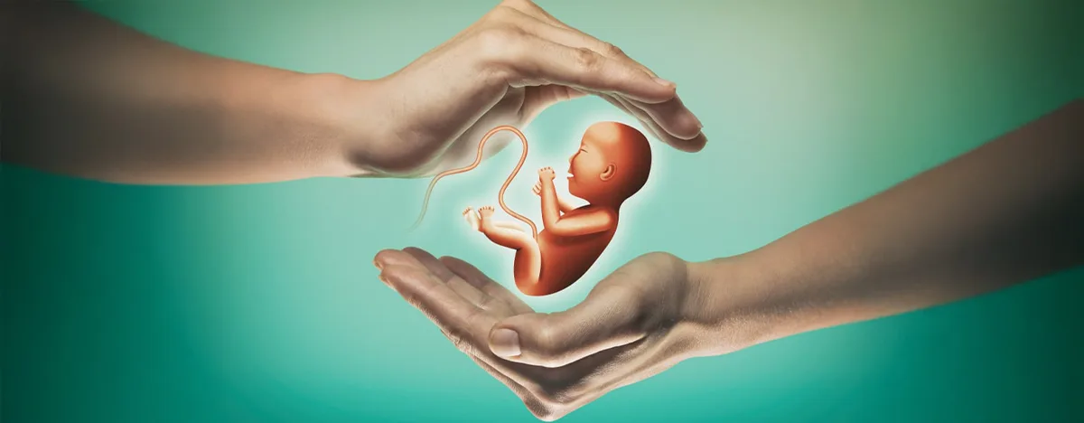 ЭКО с использованием метода накопления яйцеклеток (Pooling)