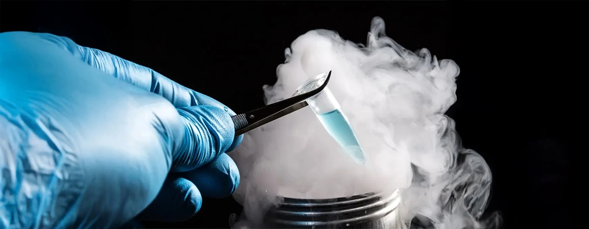 Замораживание яйцеклеток (ооцитов)